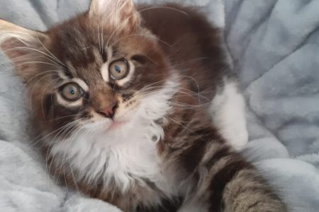 IMG_20220331_143949_199